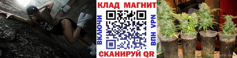 Виды наркотиков купить Новомосковск A-PVP Мефедрон МЕТАМФЕТАМИН Каннабис ГАШ